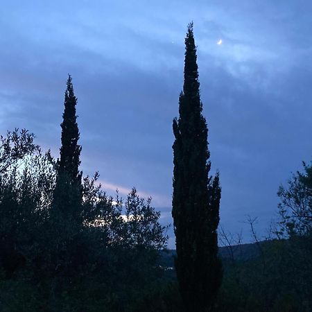 Benissiva Casa Gallinera מראה חיצוני תמונה