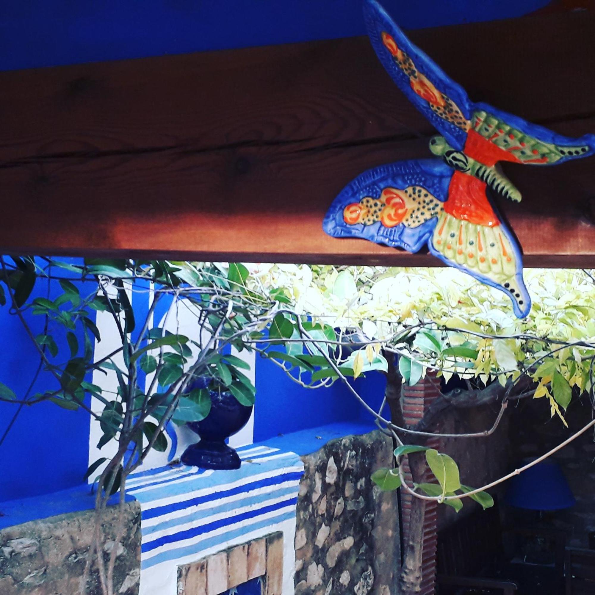 Benissiva Casa Gallinera מראה חיצוני תמונה