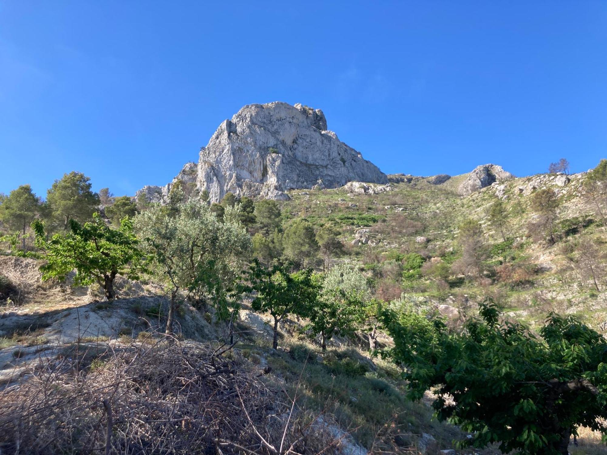 Benissiva Casa Gallinera מראה חיצוני תמונה